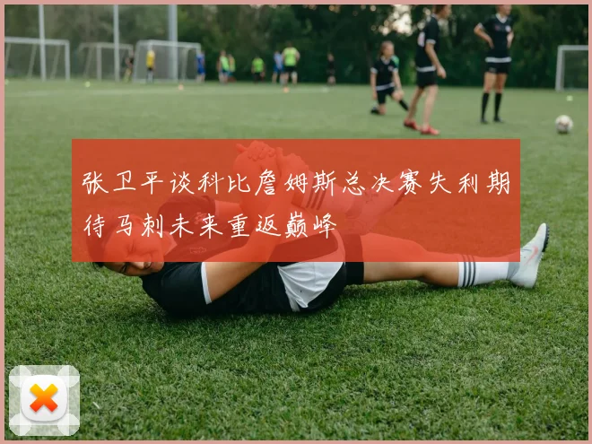 张卫平谈科比詹姆斯总决赛失利期待马刺未来重返巅峰